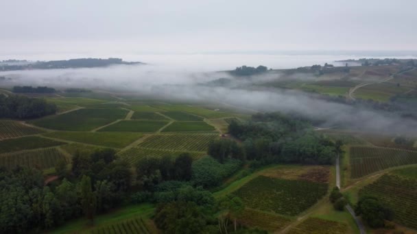Luchtfoto van wijngaard onder mist, Semens, Gironde, Frankrijk — Stockvideo