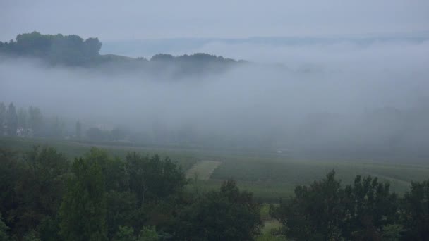 Timelapse wijngaard onder mist, Semens, Gironde, Frankrijk — Stockvideo