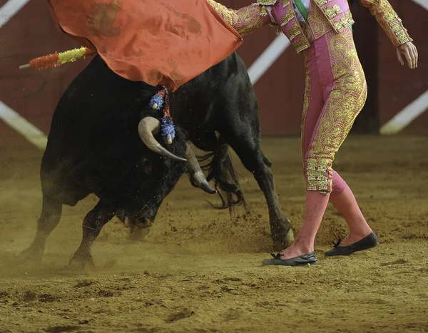 El Toro - corrida Bullfigth — Foto Stock