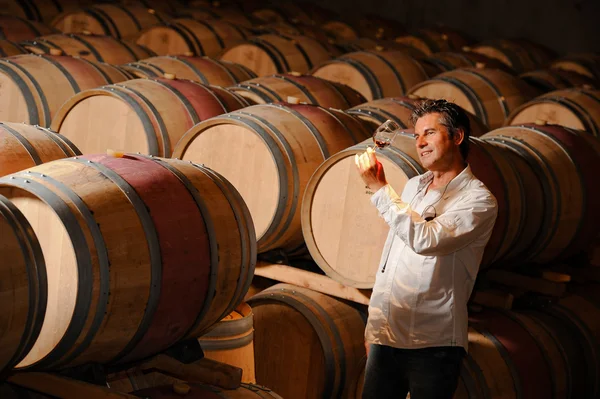 Turismo - Homem degustação de vinho em uma adega-enólogo — Fotografia de Stock