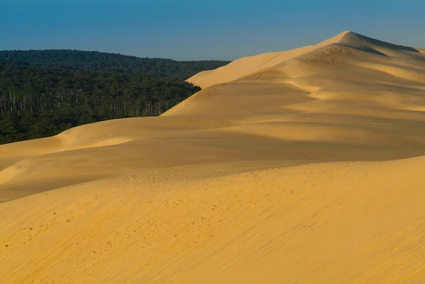 Dune du Pilat-Bassin d'Arcachon-France — Stockfoto