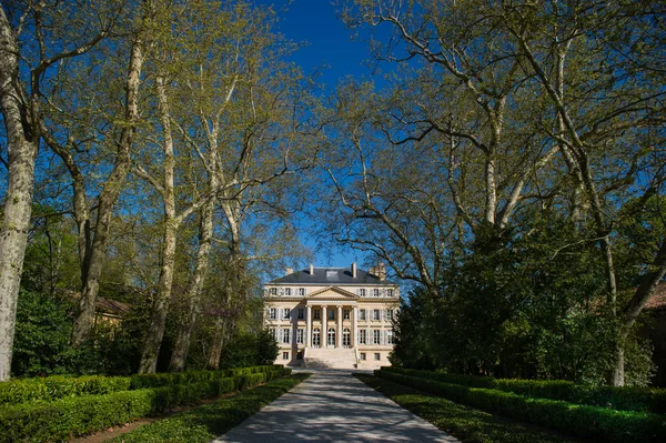 Winnica Chateau Margaux-Bordeaux — Zdjęcie stockowe