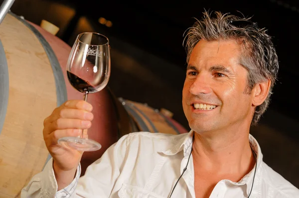 Tourism - Man tasting wine in a cellar-Winemaker — Stock Photo, Image