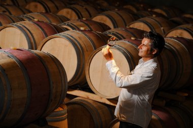 Tourism - Man tasting wine in a cellar-Winemaker clipart