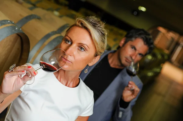 Turizm - çift bir mahzeni şarap tadımı — Stok fotoğraf