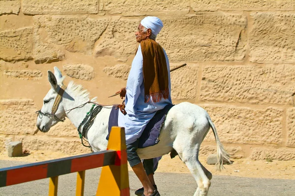 Egypte, Nijl-vallei, Luxor gebied, Thebe-Donketyand Rider — Stockfoto