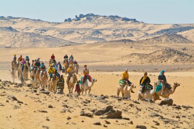 Egypte - turist deve sürücüleri tarafından yol açtı. Aswan