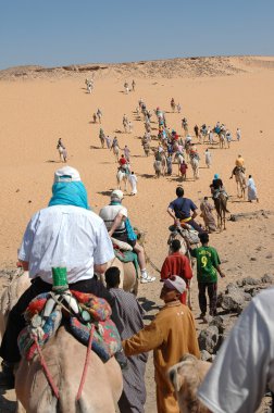 Egypte - turist deve sürücüleri tarafından yol açtı. Aswan
