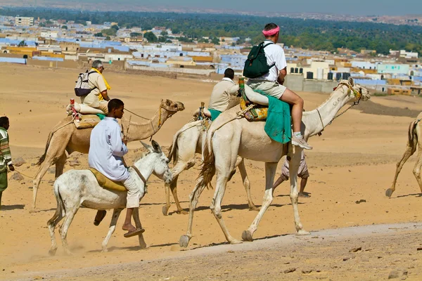 Egípcio - Turistas liderados por motoristas de camelo.Aswan — Fotografia de Stock