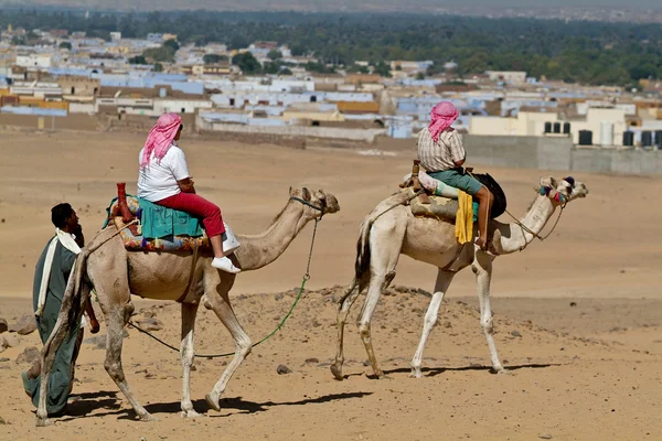 Egípcio - Turistas liderados por motoristas de camelo.Aswan — Fotografia de Stock