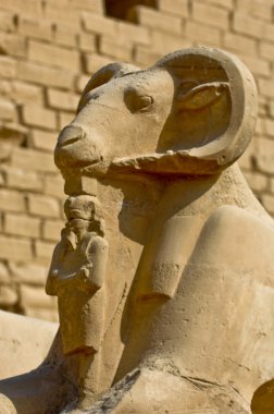 Ram-headed sphinxes-Egypt Temple of Karnak clipart