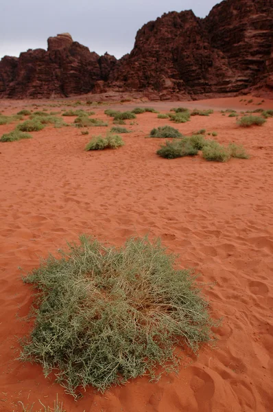 Wadi Rum-Jordan — Stockfoto