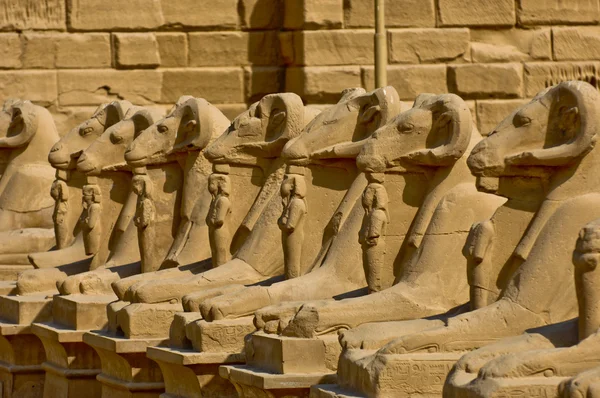 Ram-headed sphinxes-Egypt Temple of Karnak Stock Picture