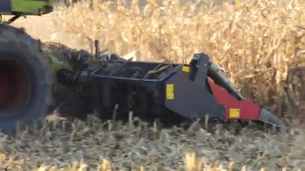 Harvest-Combine travaillant sur un champ de maïs 