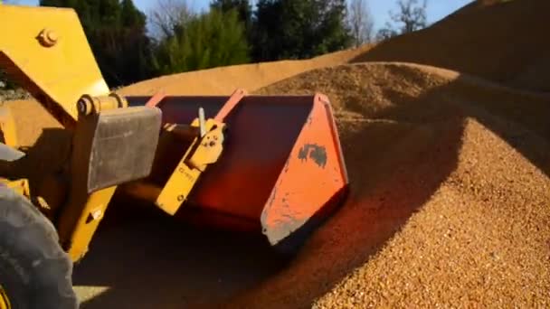 Food factory, mat, spannmåls-traktor dumpning vetekornen — Stockvideo