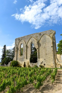 Saint-Emilion-bağ harabelerde