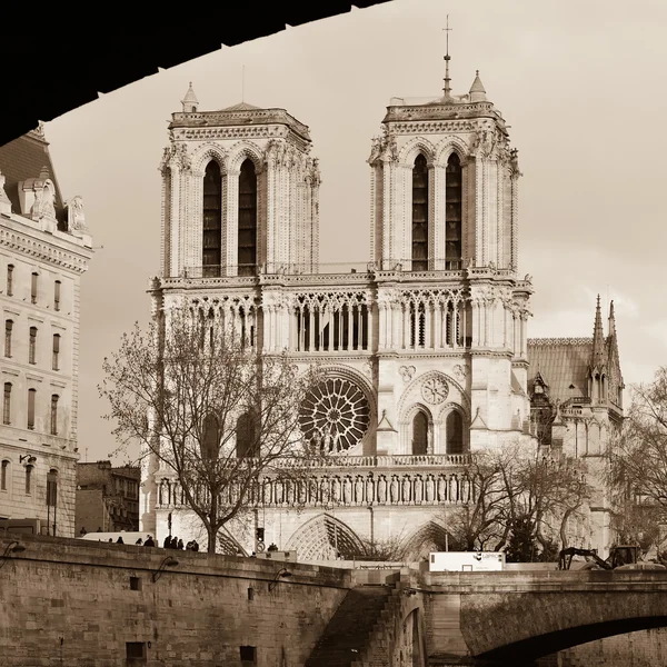 Catedral de Notre-Dame París — Foto de Stock