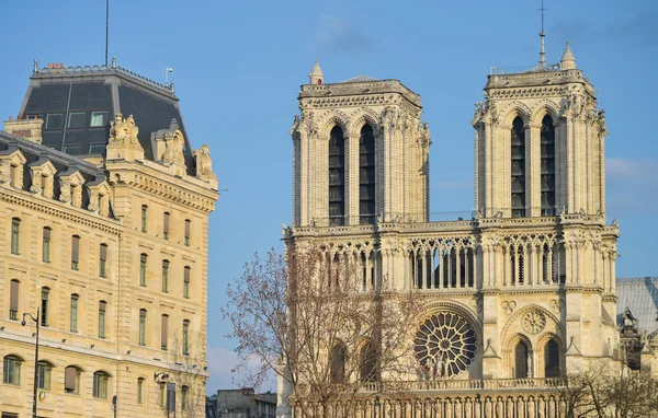 圣母大教堂-巴黎 — 图库照片