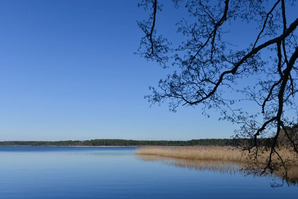 Rano na wschód słońca nad jeziorem Biscarosse, Francja, Europa. — Zdjęcie stockowe