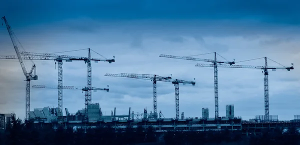 Silhouette of a crane group through glass blocks — Stock Photo, Image