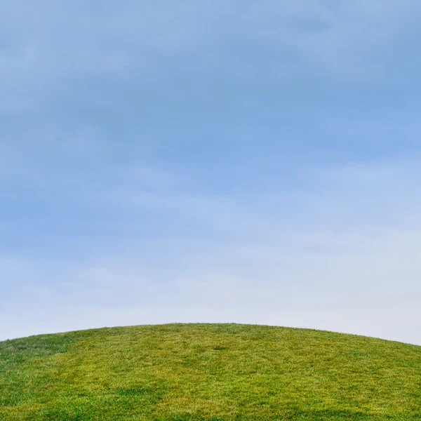 Horizonte sobre hierba verde — Foto de Stock