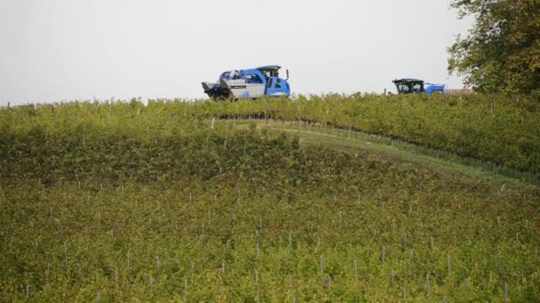 Druif combineren harvester machine in wijngaarden — Stockvideo