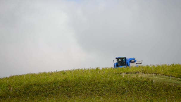 포도에 포도 수확 기계 결합 — 비디오