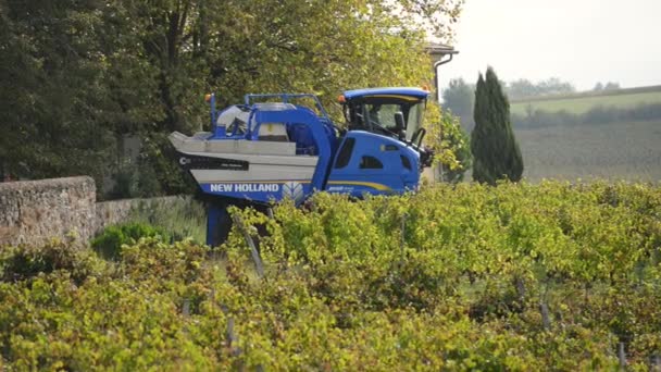 Máquina cosechadora de uva en viñedos — Vídeo de stock