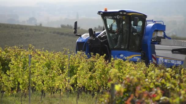 Grape combine harvester machine in vineyards — Stock Video