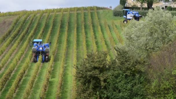 Grape kombinera skördare maskin i vingårdar — Stockvideo