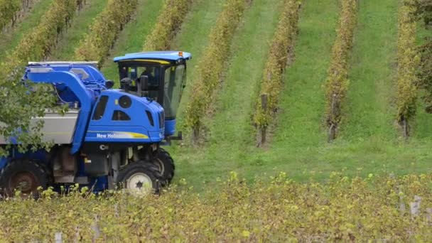 Druif combineren harvester machine in wijngaarden — Stockvideo