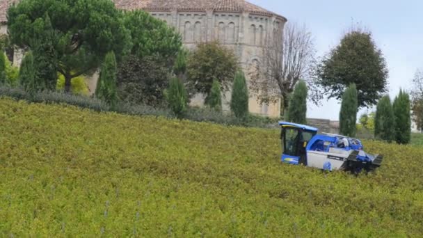 Druif combineren harvester machine in wijngaarden — Stockvideo
