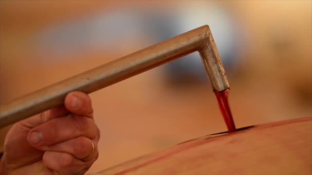 Decanting wine in a barrel's cellar — Stock Video