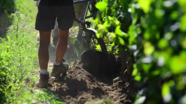 Çalışma bağ ile bir taslak at