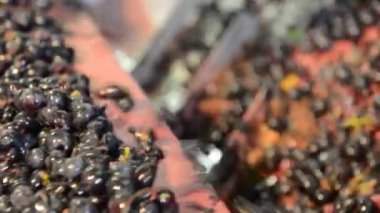 Üzüm hasat üzerinde sıralama tablo, Bordeaux üzüm bağı