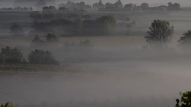 Sonbahar günbatımı manzara-Bordeaux bağ