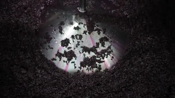 Lépked a borkészítés a szőlő a betakarítás után — Stock videók