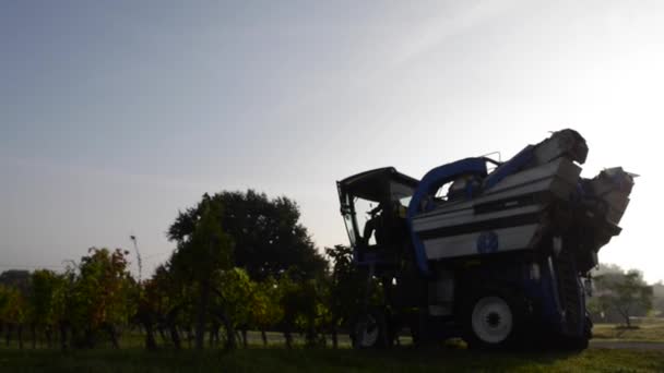 Cosecha mecánica de uvas en el viñedo — Vídeos de Stock