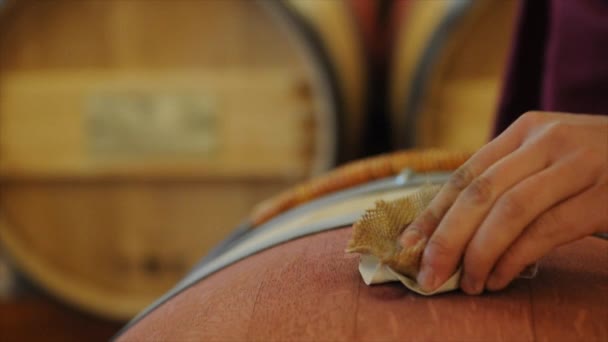 Vinmakare i källaren att göra vin provning. — Stockvideo