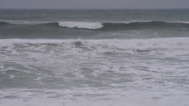 Vague, mer, sable et dunes 