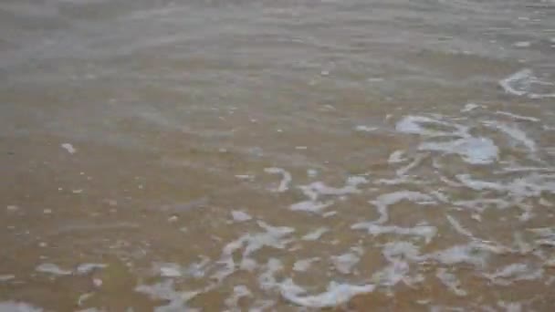 Verlaten zandstrand met golven rollen in bij mooi weer — Stockvideo