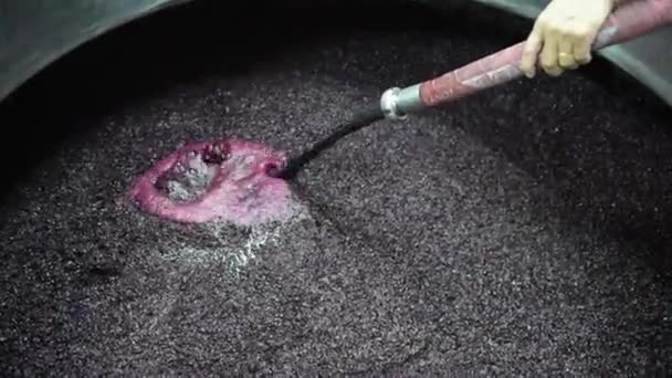 Winemaking - Reassembly of wine grapes — Stock Video
