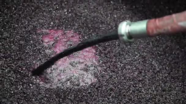 Виноробство - Повторна збірка винограду — стокове відео
