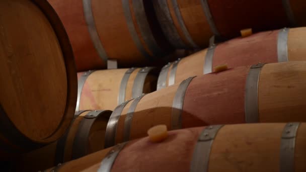 Winemaking-Wine Barrels in cellar — Stock Video