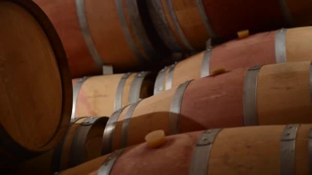 Bodegas-Barricas de vino en bodega — Vídeos de Stock