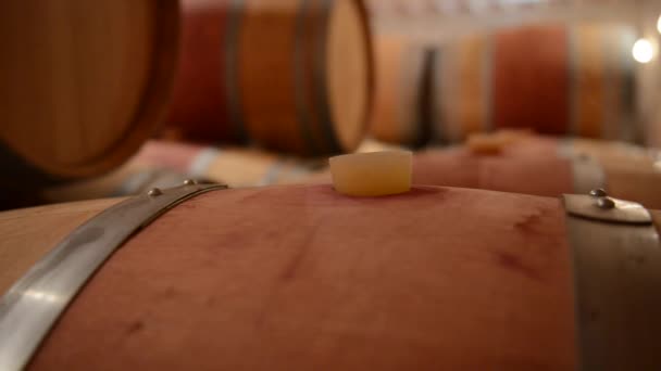 在地窖里的葡萄酒酿造酒桶 — 图库视频影像