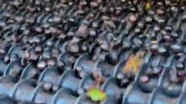 Varışta bir titreşimli kemer Cellar'da şarap üzüm sıralama