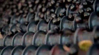 Varışta bir titreşimli kemer Cellar'da şarap üzüm sıralama