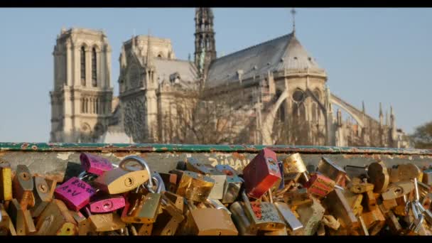 Pont des Arts-Catedral de Notre Dame, París, Francia — Vídeo de stock