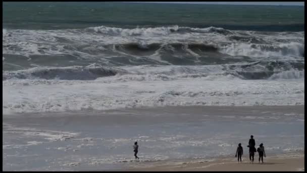 Mar, Areia e Dunas-Pessoas brincando e caminhando na praia — Vídeo de Stock